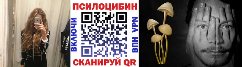 Галлюциногенные грибы Cubensis  Купить закладки  Долинск 
